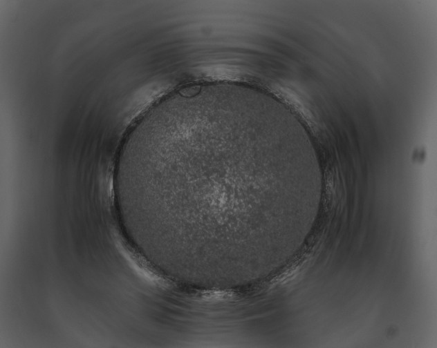 X0000091650398200708231226