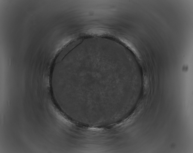 X0000091650399200708231226