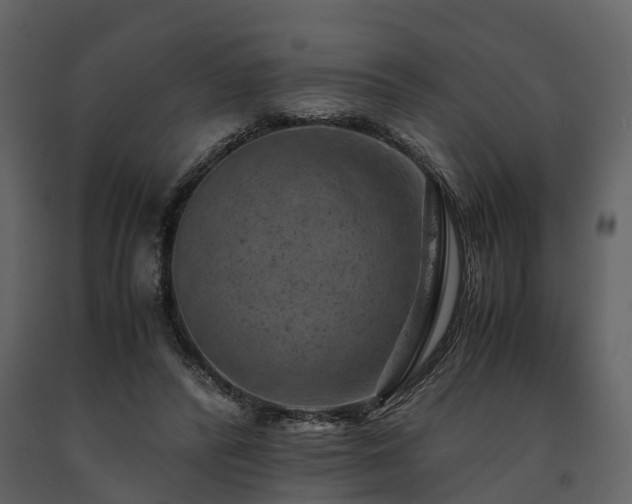 X0000091650400200708231226