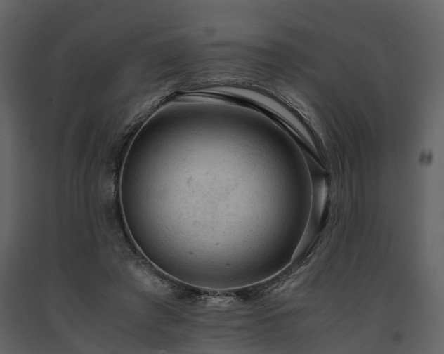 X0000091650401200708231226