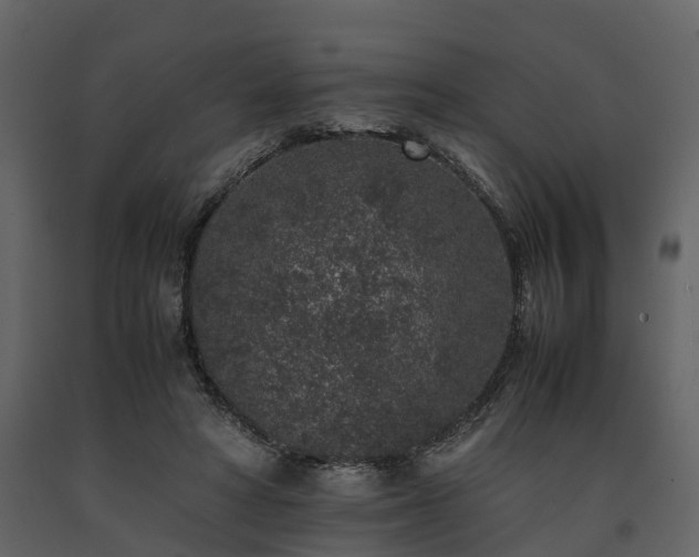 X0000091650402200708231226