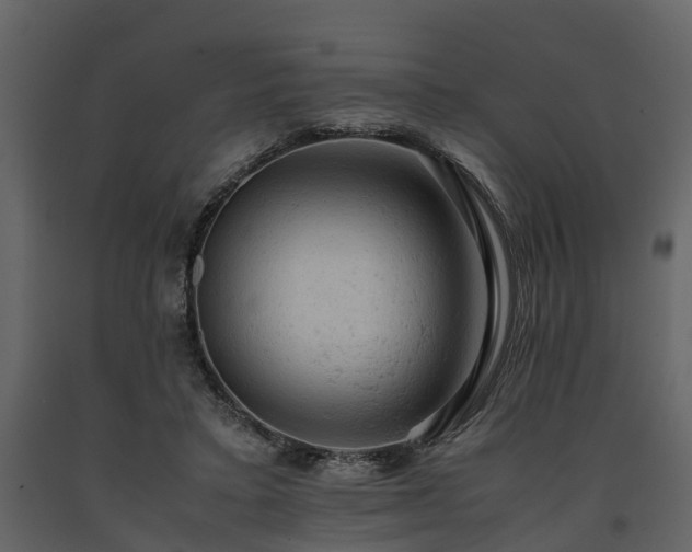 X0000091650403200708231226