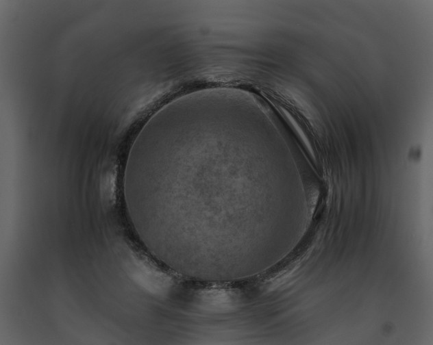 X0000091650404200708231226