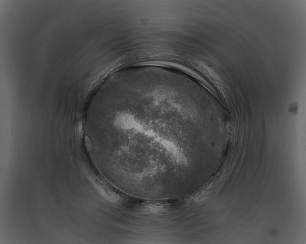 X0000091650405200708231226
