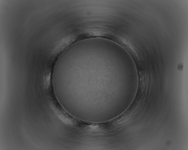 X0000091650406200708231226