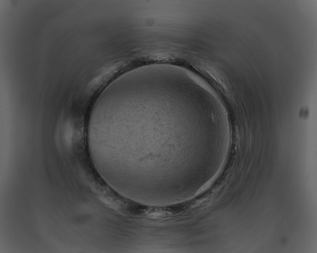 X0000091650407200708231226