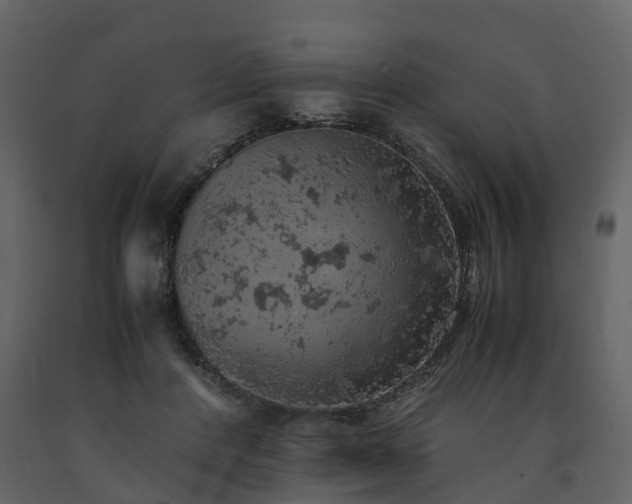 X0000091650408200708231226