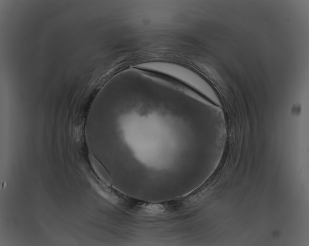X0000091650409200708231226