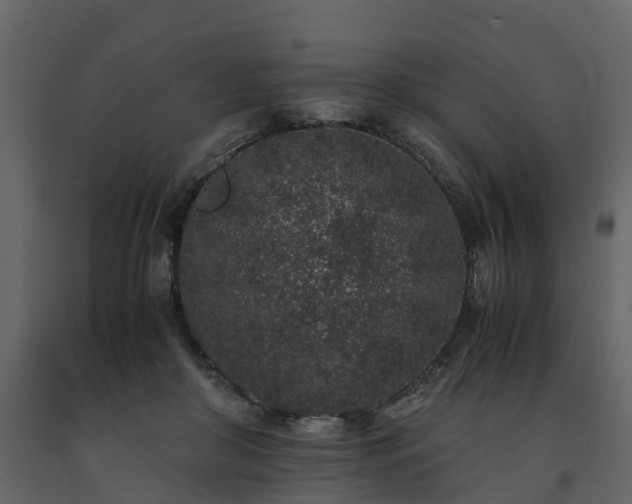 X0000091650410200708231225