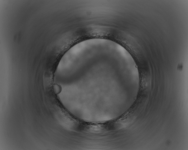 X0000091650411200708231225