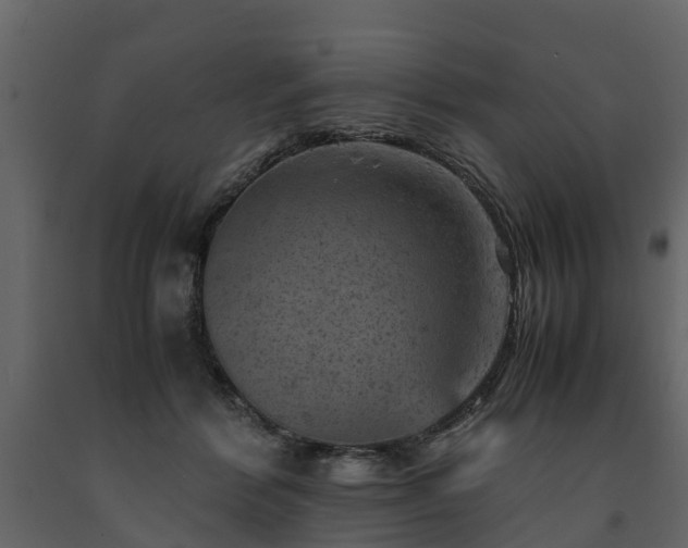 X0000091650412200708231225