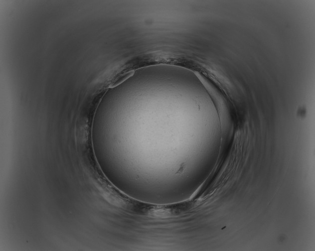X0000091650413200708231225