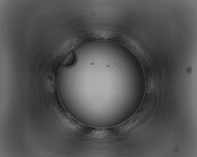 X0000091650414200708231225