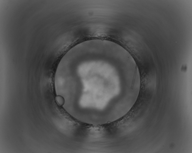 X0000091650415200708231225