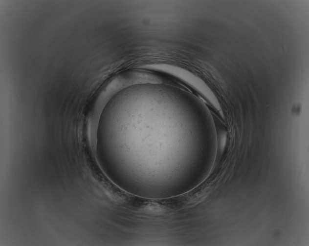 X0000091650416200708231225