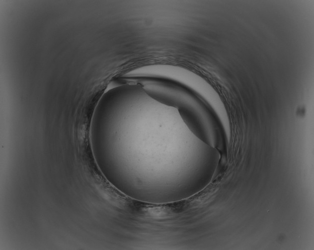 X0000091650417200708231225