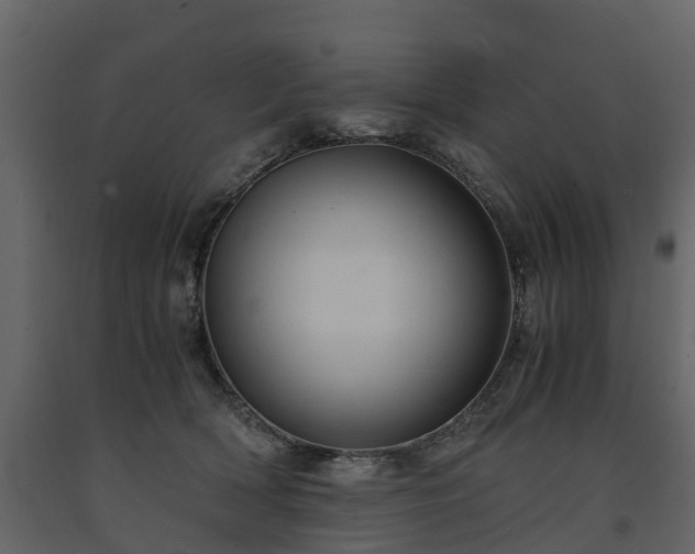X0000091650418200708231225
