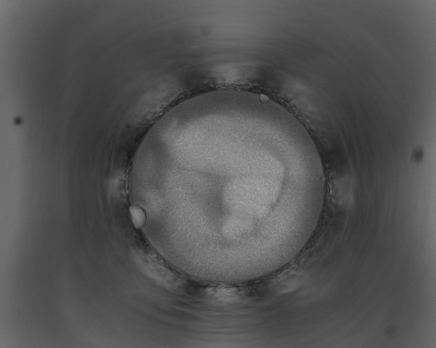 X0000091650419200708231225