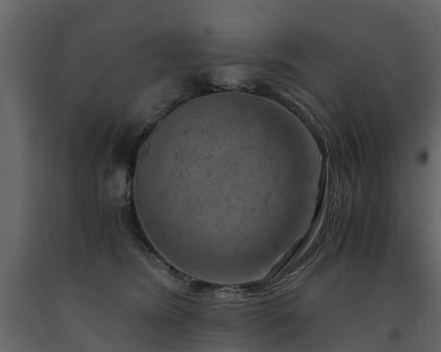 X0000091650420200708231225