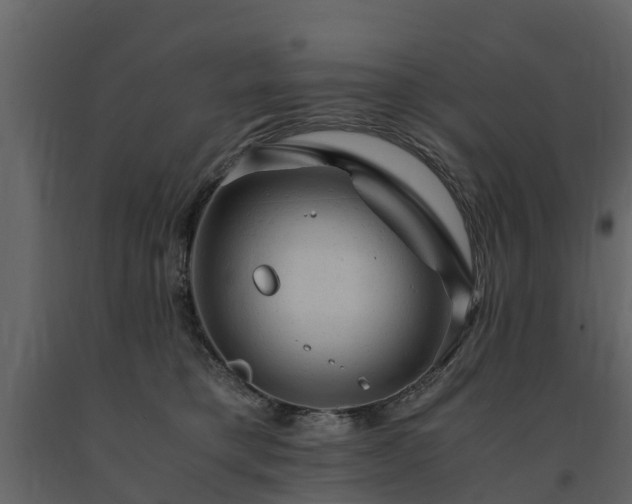 X0000091650421200708231225