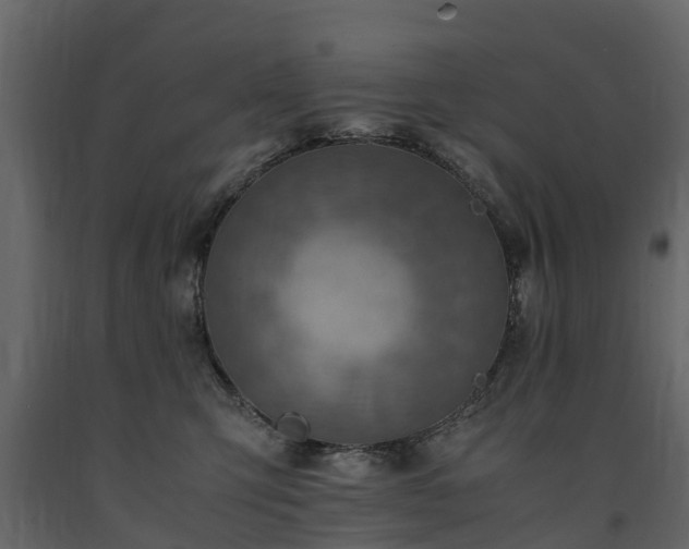 X0000091650423200708231225