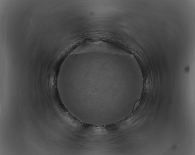 X0000091650424200708231225