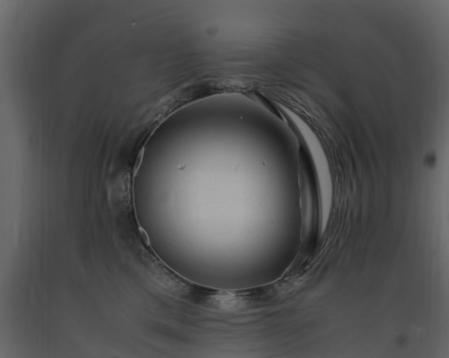 X0000091650425200708231225