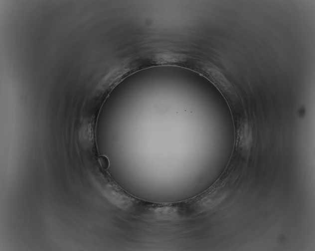 X0000091650426200708231225