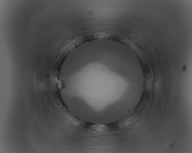 X0000091650427200708231225