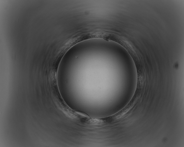 X0000091650429200708231225