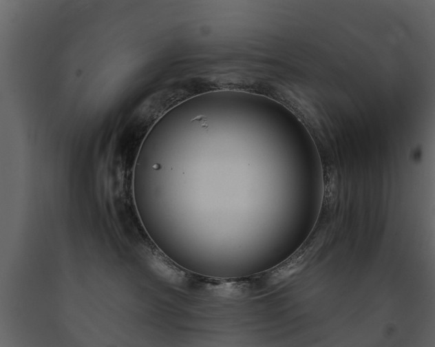 X0000091650430200708231225