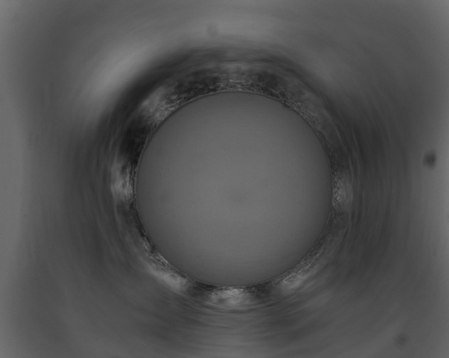 X0000091650431200708231225
