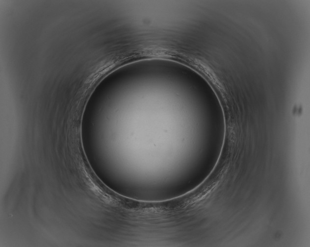 X0000091650433200708231225