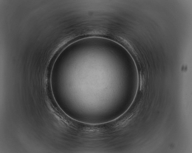X0000091650435200708231225