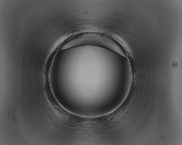 X0000091650436200708231225