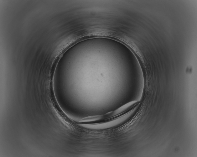 X0000091650437200708231225
