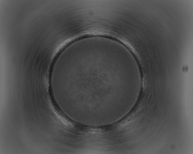 X0000091650438200708231225