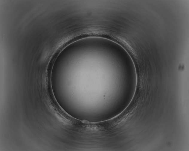 X0000091650439200708231225
