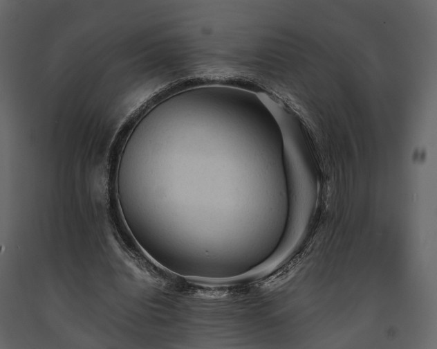 X0000091650440200708231225