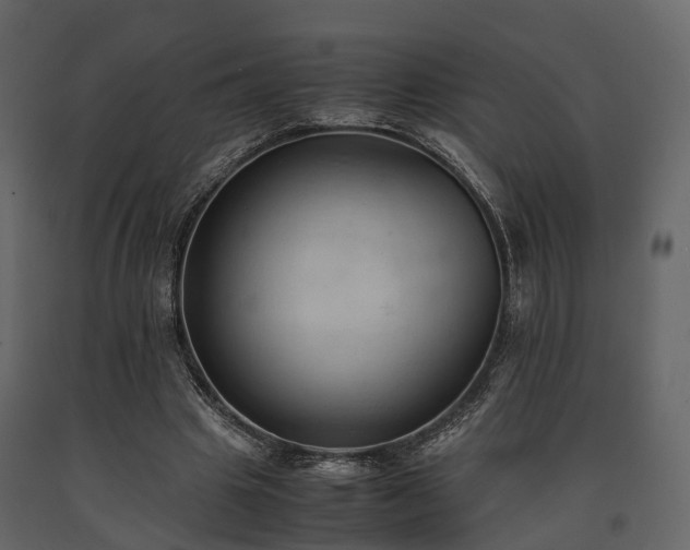 X0000091650441200708231225