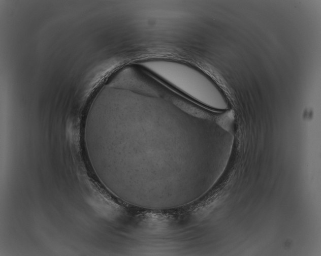 X0000091650442200708231225