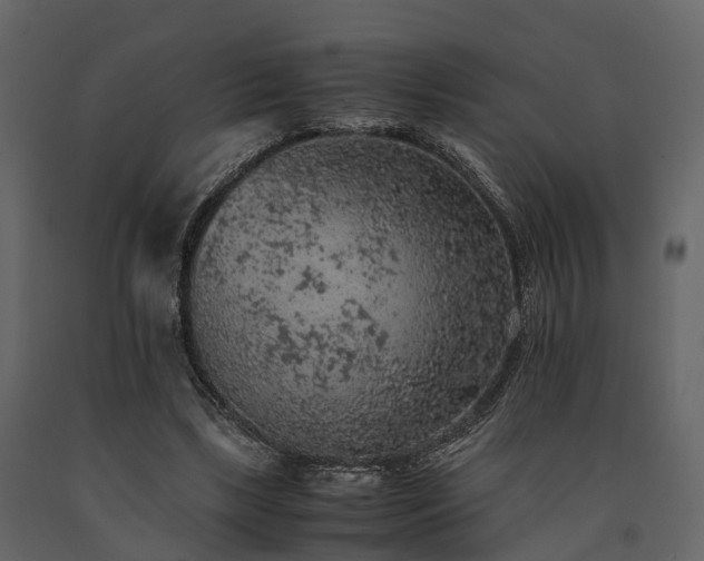 X0000091650443200708231225