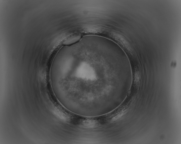 X0000091650444200708231225