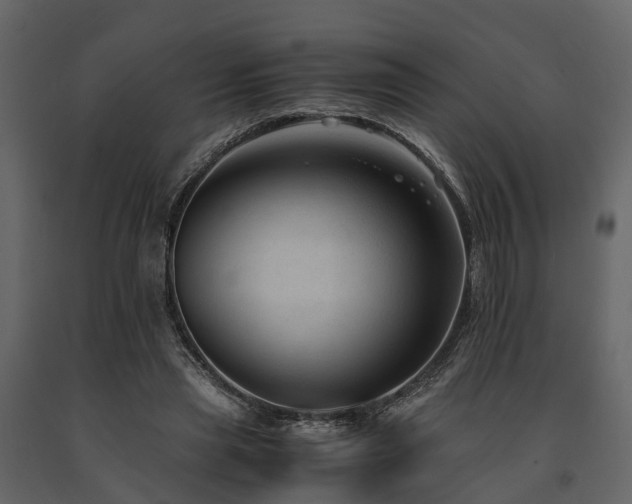 X0000091650445200708231225