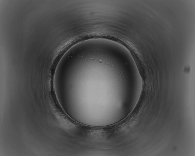 X0000091650446200708231225