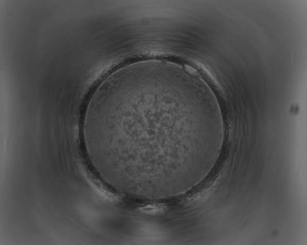 X0000091650447200708231225