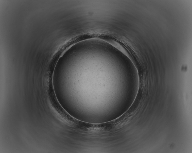 X0000091650448200708231225