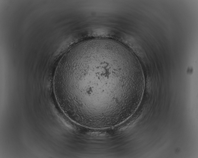 X0000091650449200708231225