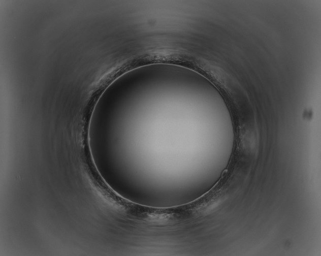 X0000091650450200708231225