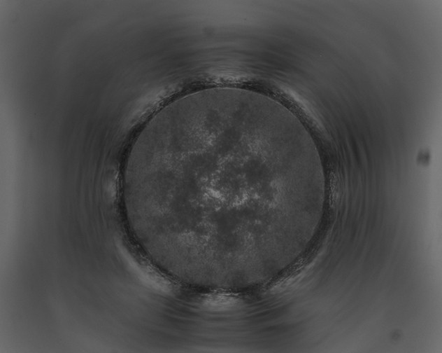 X0000091650451200708231225